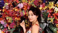 AKB48 - 大島優子どこまで咲けるか,やったりましょう ピュレグミ新CM
