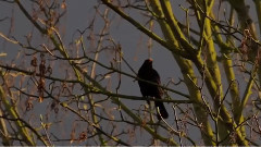 音乐短片 - A Place To Hide