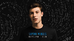Shawn Mendes - Kid In Love