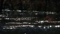 轻音乐 - Sparkling Waters