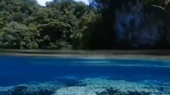 音乐短片 - Voices Of The Vega & Eddy De Vega (Trance Mix 2015)