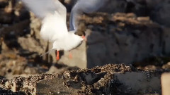 音乐短片 - I Love You