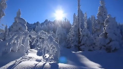 音乐短片 - Traditional Christmas Brian Crain,Silent Night