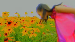 华语童星 - 美美