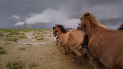 生活是如此的多姿多彩