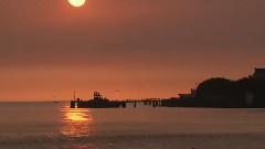 音乐短片 - 明月千里寄相思