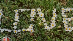 音乐短片 - Душа за Двама Пол Мориа