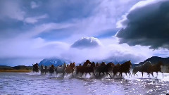 音乐短片 - Go Beyond