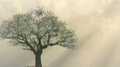 音乐短片 - The Most Beautiful Romantic Melodies