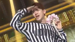 JJCC - On the Flower Bed