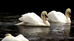 轻音乐 - Yiruma - Love Hurts