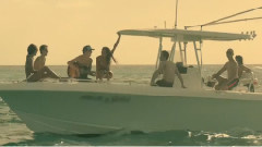 Simple Plan - Summer Paradise