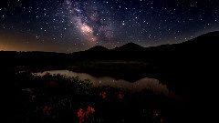 轻音乐 - Yiruma - Moonlight