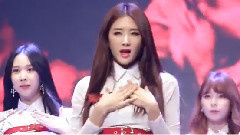 Nine Muses - 成人礼