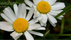 音乐短片 - Spoznajme A Zažime Zmŕtvychvstaleho