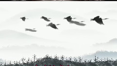 音乐短片 - 鸿雁