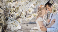 音乐短片 - Wonderful Life