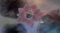 音乐短片 - 雨后嫣红