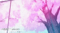 动漫专属 - 樱坠的记忆,只愿你能在我身旁 <综漫>MAD