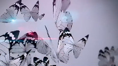 音乐短片 - Waltz Of The Butterfly Seitkaliyev