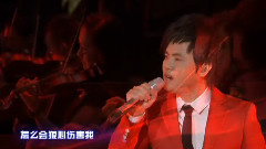 郑源 - 怎么会狠心伤害我