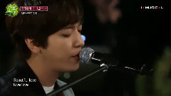 CNBLUE,郑容和 - 最后的叶子
