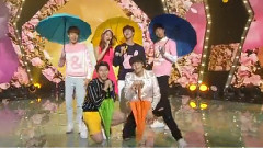 JJCC - 在花田中