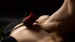 音乐短片 - Fausto Papetti - Non Credere