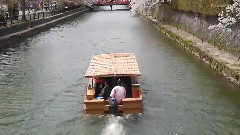 音乐短片,乐动城市,风景,轻音乐 - 欣赏东京樱花美景看和服美人