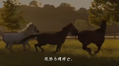 华语群星 - 前世的印记