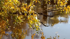 音乐短片 - 就是爱你