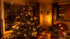 音乐短片 - 帕森贝尔的卡农