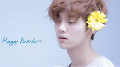 鹿晗 - 2015 Happy Birthday To LUHAN