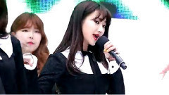Nine Muses - WILD