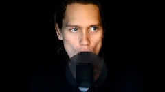 PelleK - The Fox