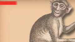 音乐短片 - Facts That Will Make You Say Dude