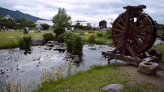 音乐短片 - A White Shade of Pale- Sarah