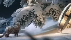 音乐短片 - Континуум 2015 година Новогодишно сияние