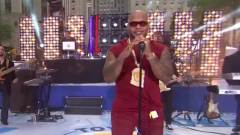 Flo Rida - Whistle