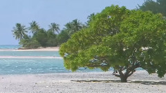 音乐短片 - 少女的祈祷