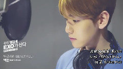 伯贤(EXO),EXO - Beautiful