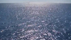 音乐短片 - Liebestraume