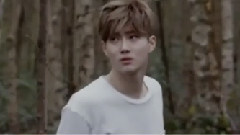 EXO-K,EXO - 不存在的存在