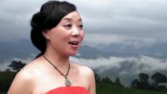 群星 - 梦幻福宝