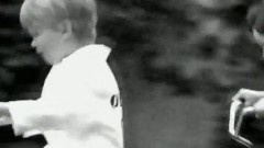 Dire Straits - The Bug