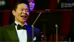 王宏伟 - 我的花儿