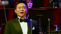 王宏伟 - 赞歌