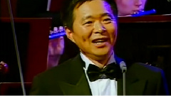 王宏伟 - 草原上升起不落的太阳