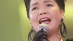 邓丽君 - 時の流れに身をまかせ