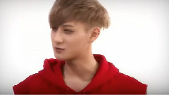 EXO-M,EXO - EXO的探究生活 黄子韬篇